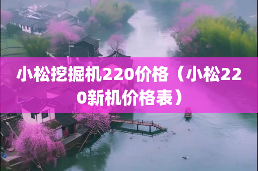 小松挖掘机220价格（小松220新机价格表）