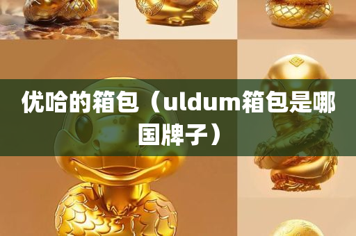 优哈的箱包（uldum箱包是哪国牌子）