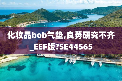 化妆品bob气垫,良莠研究不齐_EEF版?SE44565