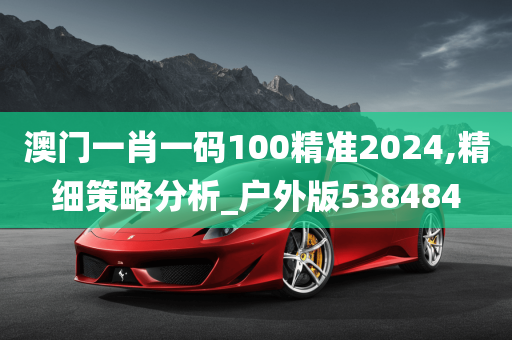 澳门一肖一码100精准2024,精细策略分析_户外版538484