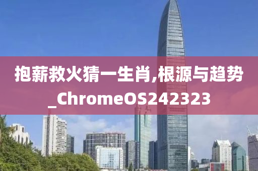 抱薪救火猜一生肖,根源与趋势_ChromeOS242323