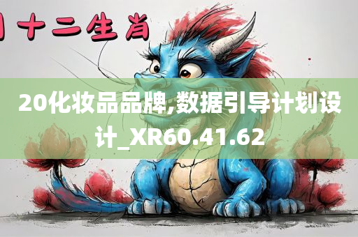 20化妆品品牌,数据引导计划设计_XR60.41.62