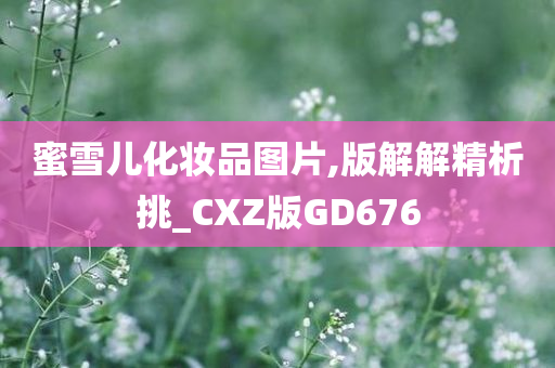 蜜雪儿化妆品图片,版解解精析挑_CXZ版GD676