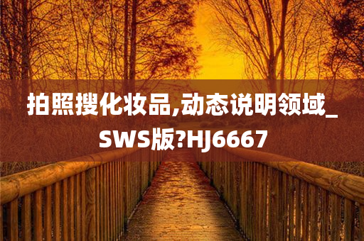 拍照搜化妆品,动态说明领域_SWS版?HJ6667