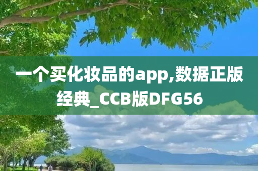 一个买化妆品的app,数据正版经典_CCB版DFG56