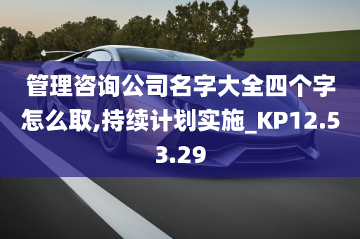 管理咨询公司名字大全四个字怎么取,持续计划实施_KP12.53.29