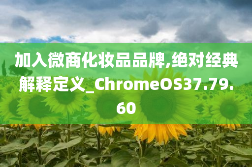 加入微商化妆品品牌,绝对经典解释定义_ChromeOS37.79.60