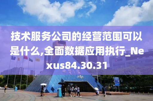 技术服务公司的经营范围可以是什么,全面数据应用执行_Nexus84.30.31