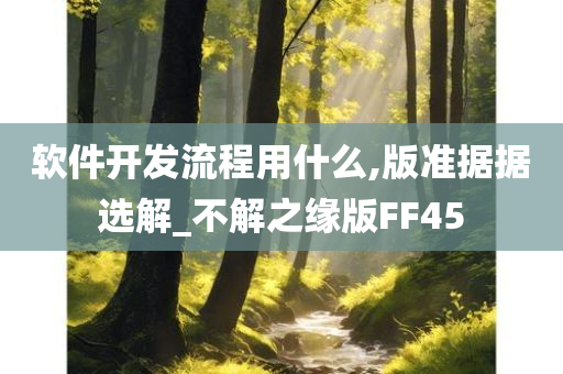 软件开发流程用什么,版准据据选解_不解之缘版FF45