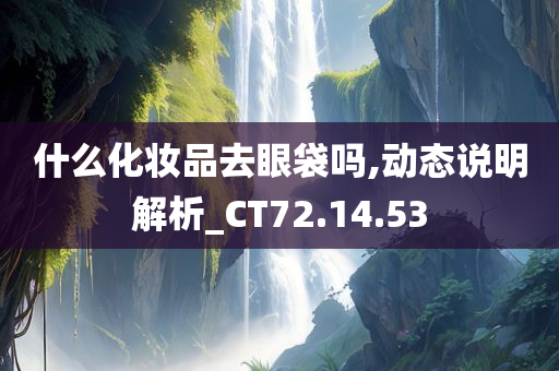 什么化妆品去眼袋吗,动态说明解析_CT72.14.53