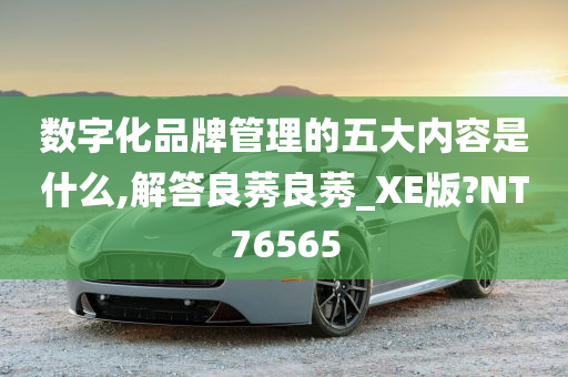 数字化品牌管理的五大内容是什么,解答良莠良莠_XE版?NT76565