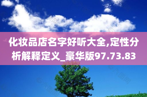 化妆品店名字好听大全,定性分析解释定义_豪华版97.73.83