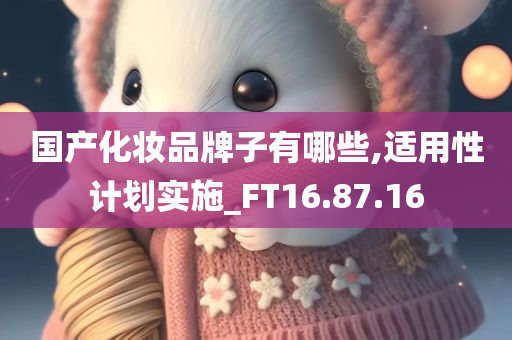 国产化妆品牌子有哪些,适用性计划实施_FT16.87.16