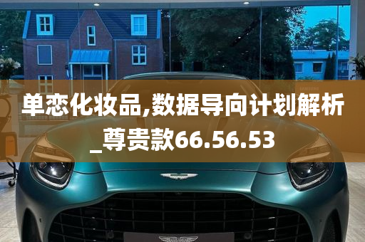 单恋化妆品,数据导向计划解析_尊贵款66.56.53