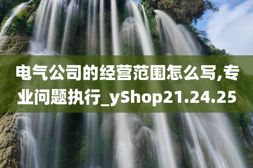 电气公司的经营范围怎么写,专业问题执行_yShop21.24.25