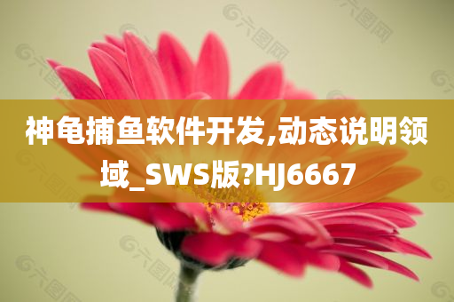 神龟捕鱼软件开发,动态说明领域_SWS版?HJ6667