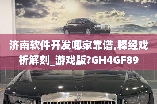 济南软件开发哪家靠谱,释经戏析解刻_游戏版?GH4GF89