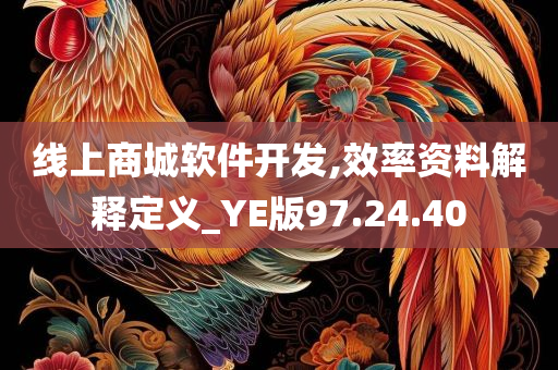 线上商城软件开发,效率资料解释定义_YE版97.24.40