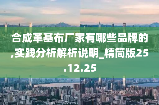 合成革基布厂家有哪些品牌的,实践分析解析说明_精简版25.12.25