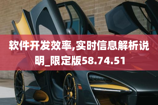 软件开发效率,实时信息解析说明_限定版58.74.51