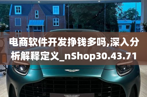 电商软件开发挣钱多吗,深入分析解释定义_nShop30.43.71