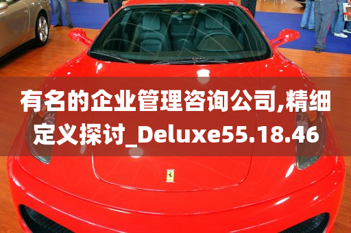 有名的企业管理咨询公司,精细定义探讨_Deluxe55.18.46