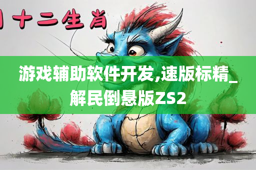 游戏辅助软件开发,速版标精_解民倒悬版ZS2