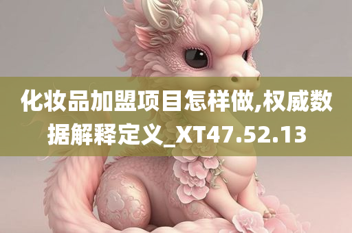 化妆品加盟项目怎样做,权威数据解释定义_XT47.52.13