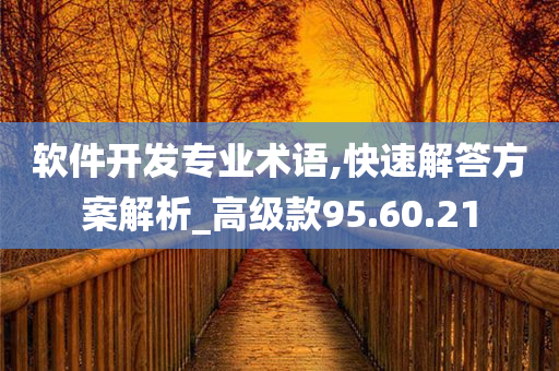 软件开发专业术语,快速解答方案解析_高级款95.60.21