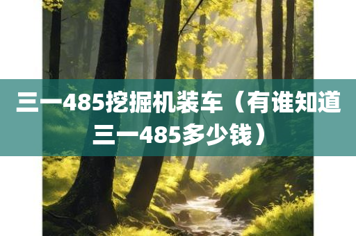 三一485挖掘机装车（有谁知道三一485多少钱）