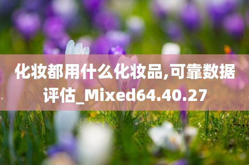 化妆都用什么化妆品,可靠数据评估_Mixed64.40.27