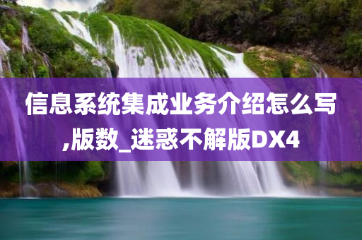 信息系统集成业务介绍怎么写,版数_迷惑不解版DX4