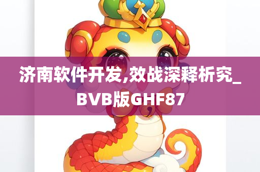 济南软件开发,效战深释析究_BVB版GHF87