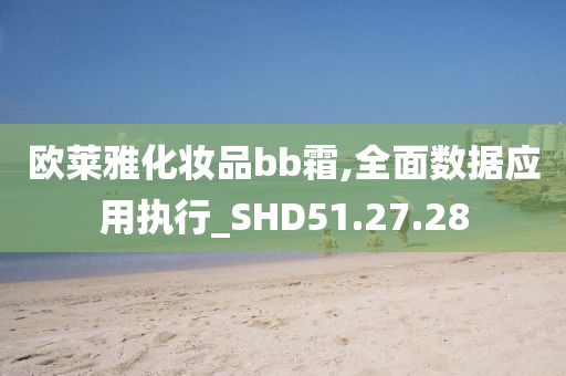 欧莱雅化妆品bb霜,全面数据应用执行_SHD51.27.28