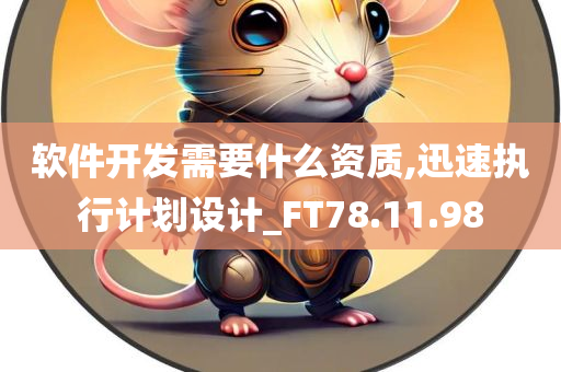 软件开发需要什么资质,迅速执行计划设计_FT78.11.98