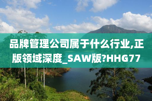 品牌管理公司属于什么行业,正版领域深度_SAW版?HHG77