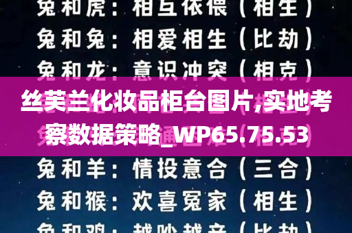 丝芙兰化妆品柜台图片,实地考察数据策略_WP65.75.53