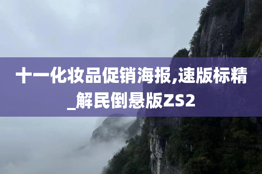 十一化妆品促销海报,速版标精_解民倒悬版ZS2