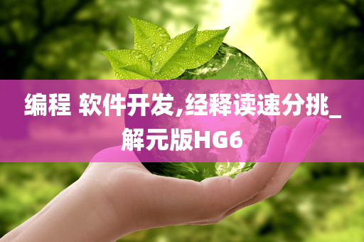 编程 软件开发,经释读速分挑_解元版HG6