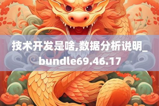 技术开发是啥,数据分析说明_bundle69.46.17