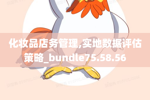 化妆品店务管理,实地数据评估策略_bundle75.58.56