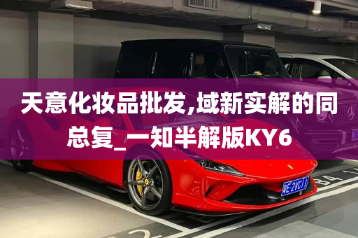 天意化妆品批发,域新实解的同总复_一知半解版KY6