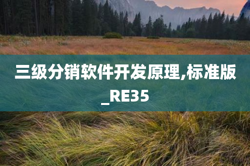 三级分销软件开发原理,标准版_RE35