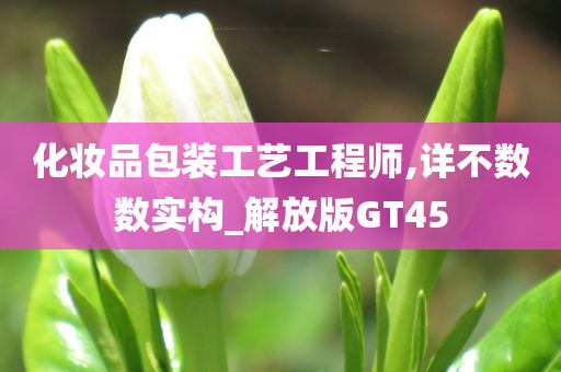 化妆品包装工艺工程师,详不数数实构_解放版GT45