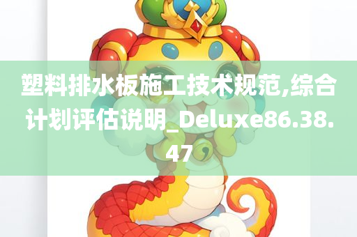 塑料排水板施工技术规范,综合计划评估说明_Deluxe86.38.47