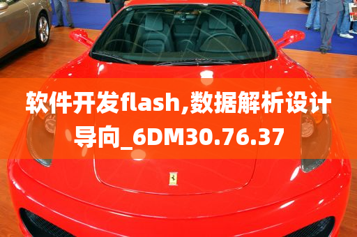 软件开发flash,数据解析设计导向_6DM30.76.37