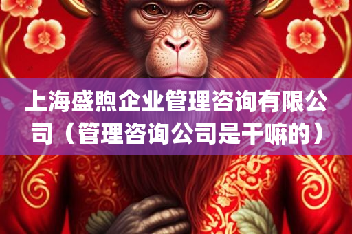 上海盛煦企业管理咨询有限公司（管理咨询公司是干嘛的）