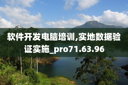 软件开发电脑培训,实地数据验证实施_pro71.63.96