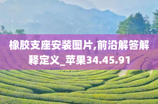 橡胶支座安装图片,前沿解答解释定义_苹果34.45.91