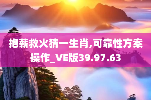 抱薪救火猜一生肖,可靠性方案操作_VE版39.97.63